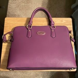 Daisen Crossbody Handbag/Laptop Bag